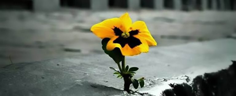 Esercizi Spirituali di Quaresima 2019